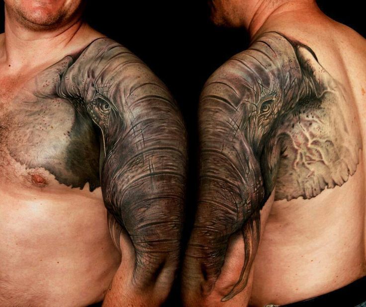 hình xăm voi ở trên vai