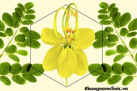 mặt nạ chùm ngây có tác dụng gì