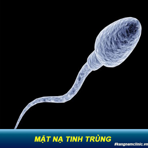 Sự thật bàng hoàng về trào lưu mặt nạ tinh trùng làm đẹp da chị em cần thức tỉnh