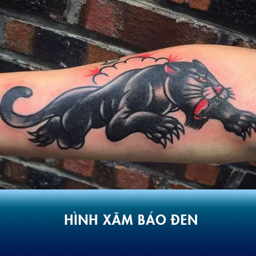 120+ Thiết kế hình xăm báo đen mang ý nghĩa vô cùng đặc biệt